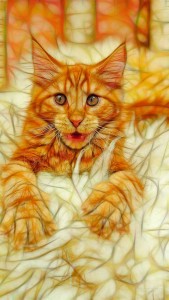 Рисунок котенк куна